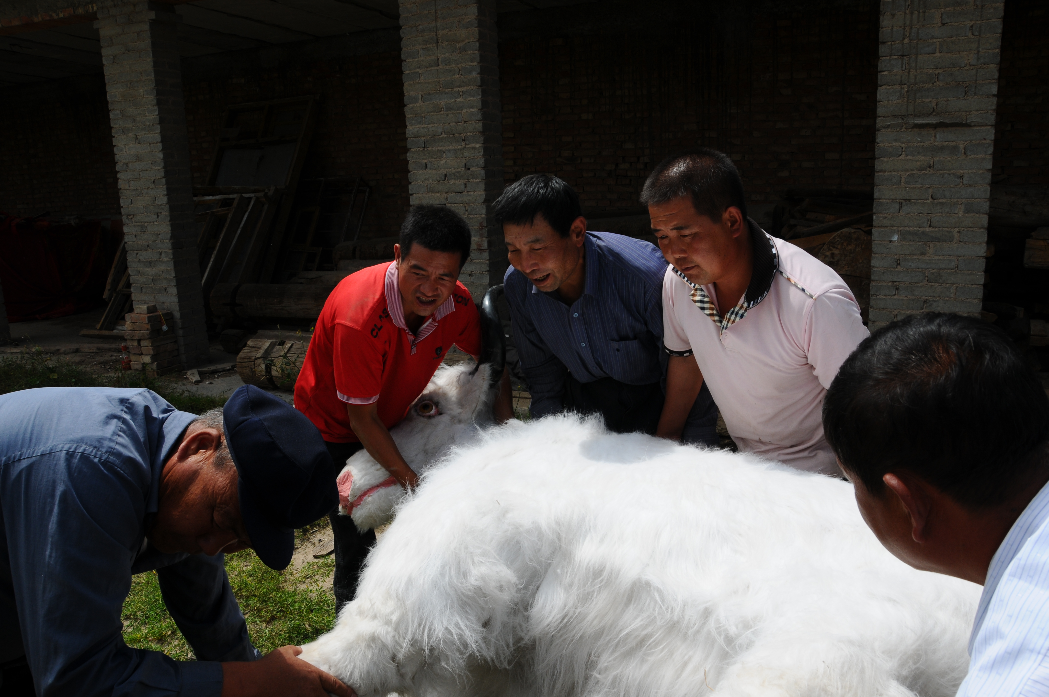 湟中-李富先-千户营高台-国家级传承人1 湟中-李富先-千户营高台-国家级传承人1.jpg