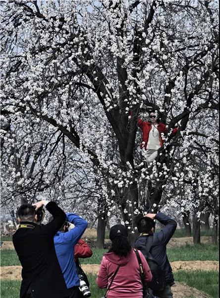 微信图片_20210318082904