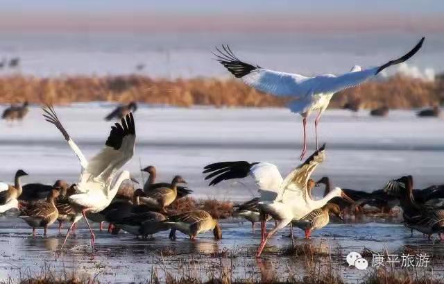 8ac9fda7ec0ed8d24e812936ee5904d 8ac9fda7ec0ed8d24e812936ee5904d.jpg