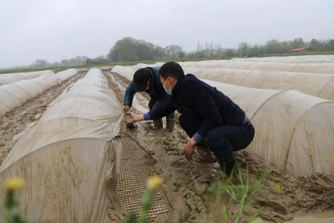 1 1.png?v=1765879287197