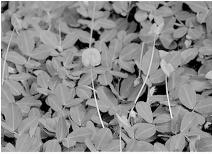 pagenumber_ebook=252,pagenumber_book=252