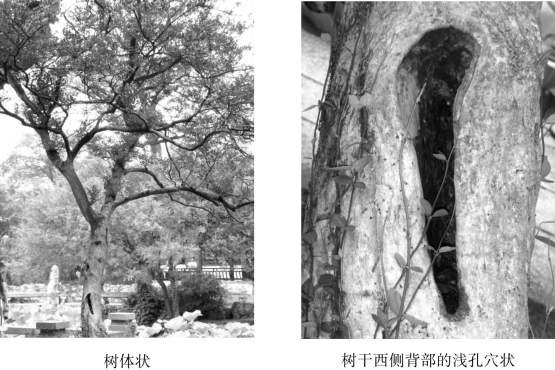 pagenumber_ebook=73,pagenumber_book=73