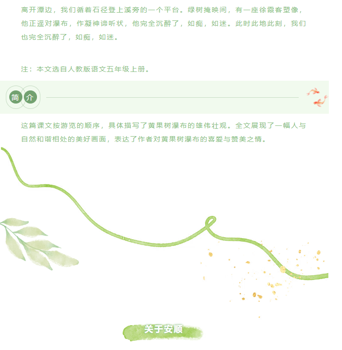 image.png?v=1751558967926