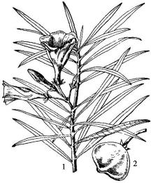 pagenumber_ebook=168,pagenumber_book=168