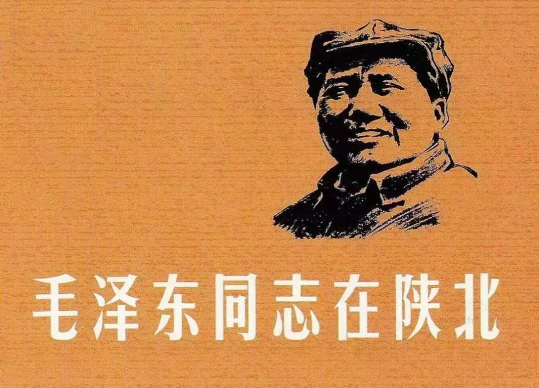 image.png?v=1751693859103