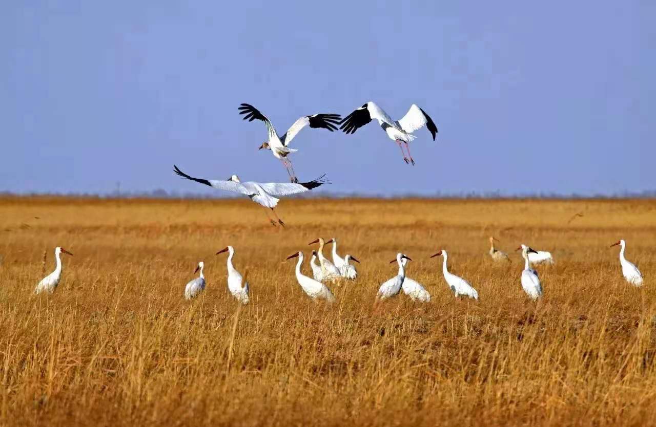 8c070b630beda9abf3adf2ab97d8f80 8c070b630beda9abf3adf2ab97d8f80.jpg