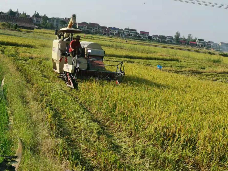 1 1.png?v=1765880298642