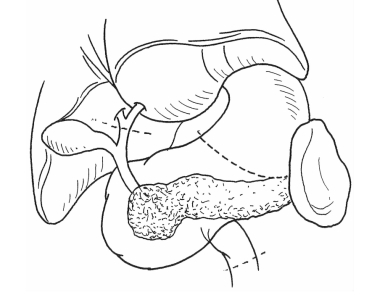 pagenumber_ebook=336,pagenumber_book=328