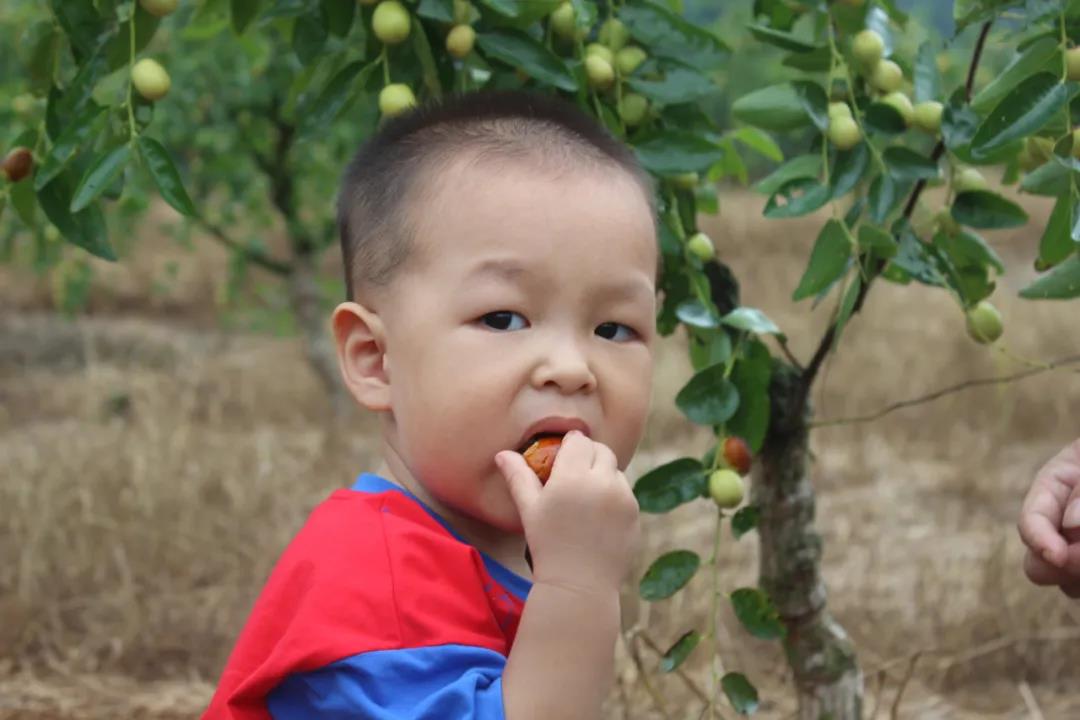 微信图片_20200917001407