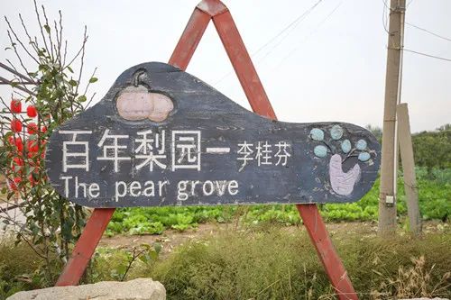 微信图片_20221008153749.jpg