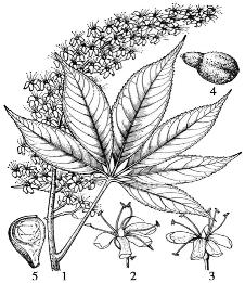 pagenumber_ebook=78,pagenumber_book=78