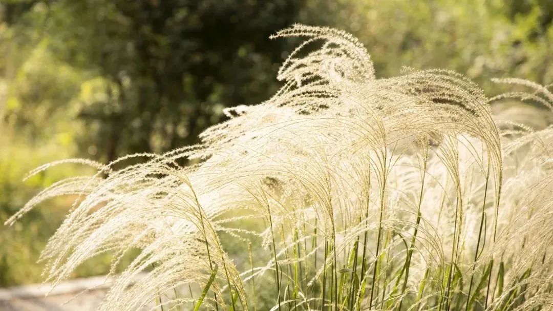 56d07dfc15696dbe6a9eec32accaac96 56d07dfc15696dbe6a9eec32accaac96.jpg