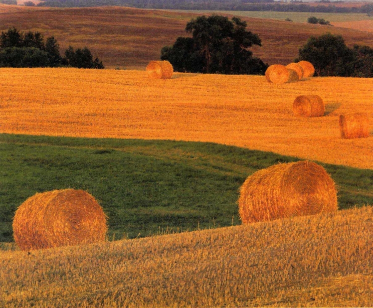 pagenumber_ebook=65,pagenumber_book=56