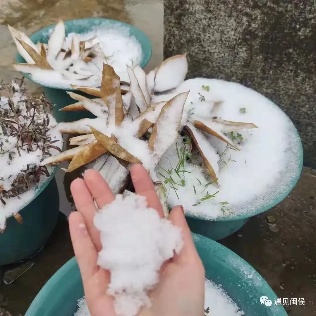 微信图片_20220225092036.jpg