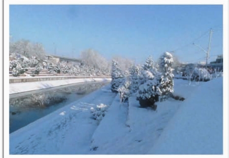 pagenumber_ebook=110,pagenumber_book=94