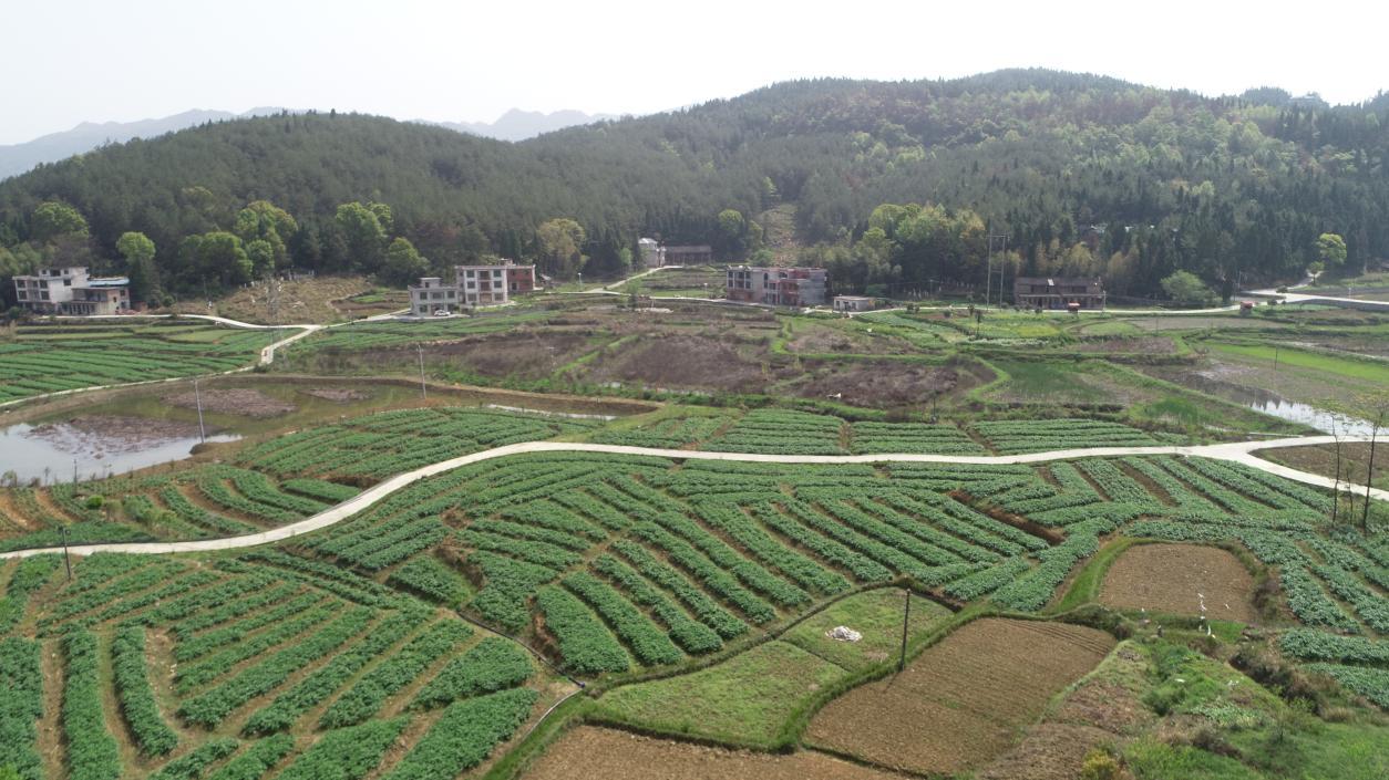 wps_doc_20 wps_doc_20.jpeg