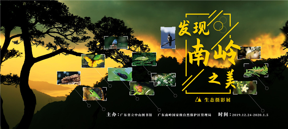 线上展览||“发现南岭之美”生态摄影展