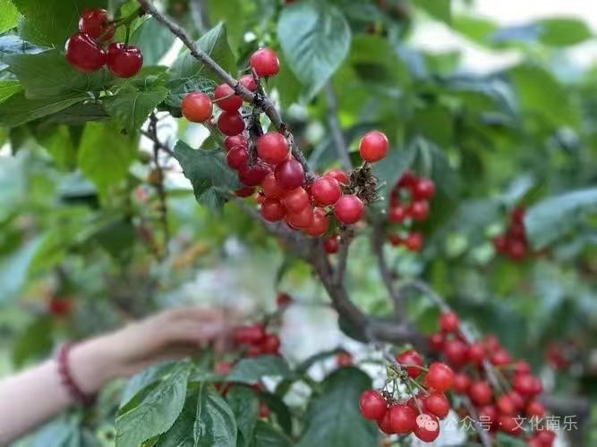 微信图片_20240722160447 微信图片_20240722160447.jpg