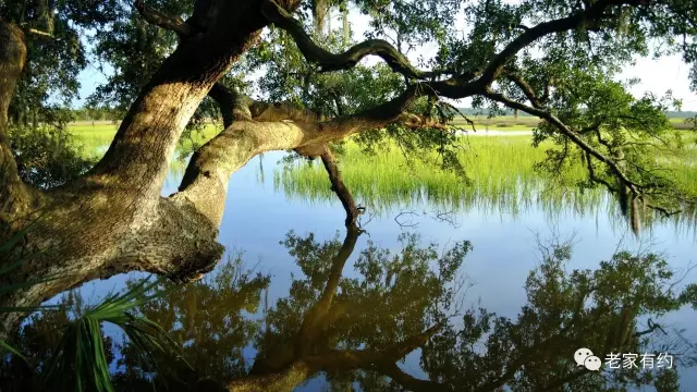 20170615214216_919cs5v1xf 20170615214216_919cs5v1xf.png?v=1773785827743