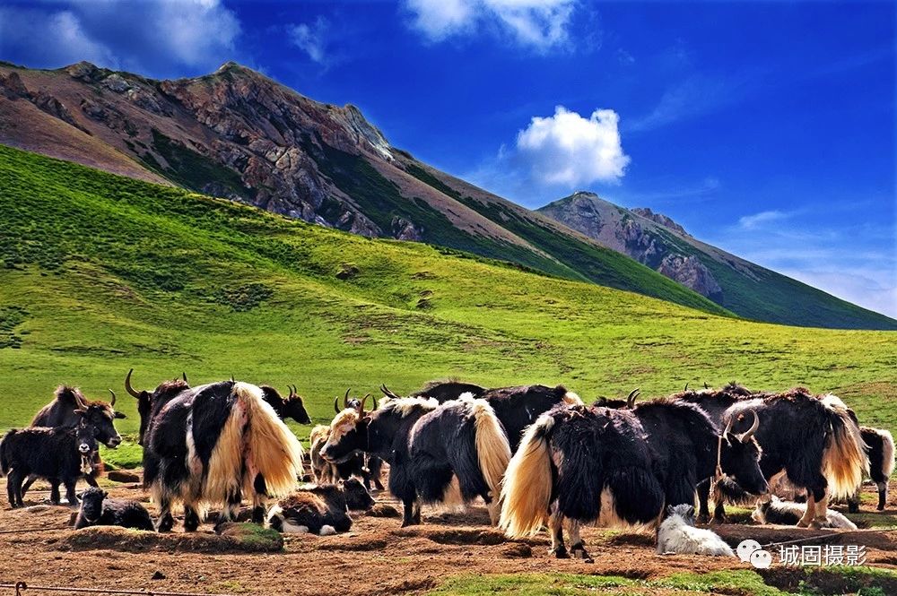 12 12.jpg?v=1765879816335