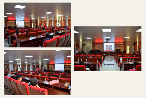 7 7.png?v=1772870112513