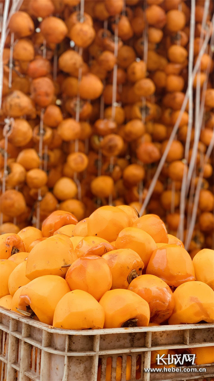 微信图片_20201213105305 微信图片_20201213105305.jpg