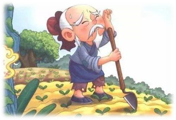 image007 image007.png?v=1764640553872