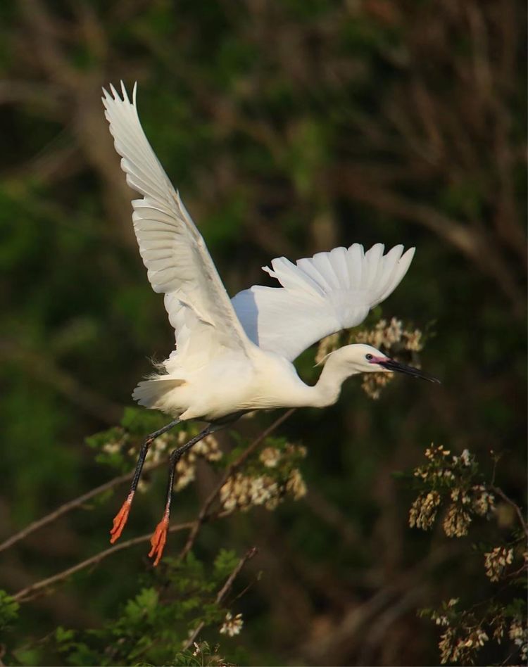 微信图片_20210506094947