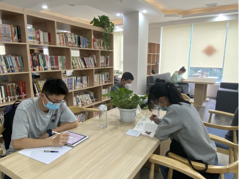 image image.png?v=1762515667424