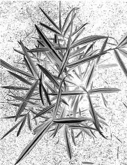 pagenumber_ebook=131,pagenumber_book=131