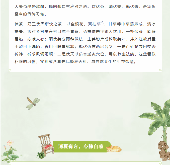 image.png?v=1785016524673