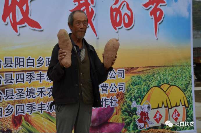 e402ef6bf821866b33e0ebe2c15f6c8 e402ef6bf821866b33e0ebe2c15f6c8