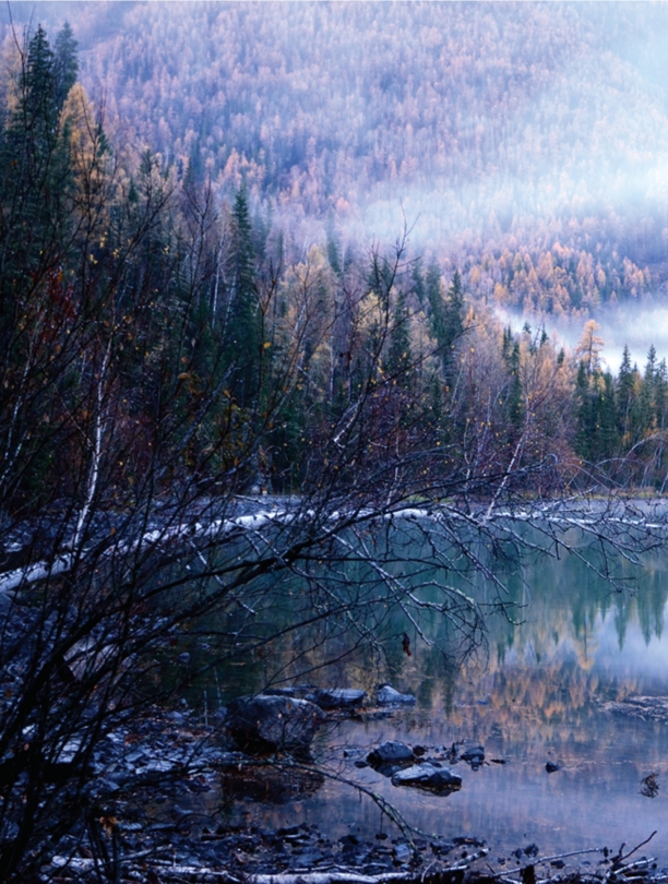 pagenumber_ebook=59,pagenumber_book=48