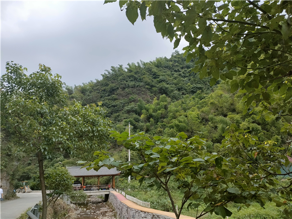 微信图片_20230714205332 微信图片_20230714205332.jpg