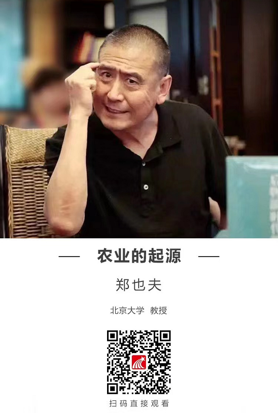 image image.png?v=1765597838329