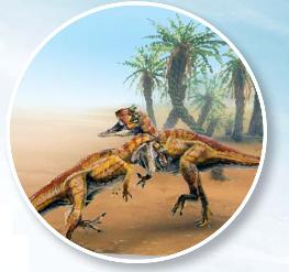 pagenumber_ebook=130,pagenumber_book=119