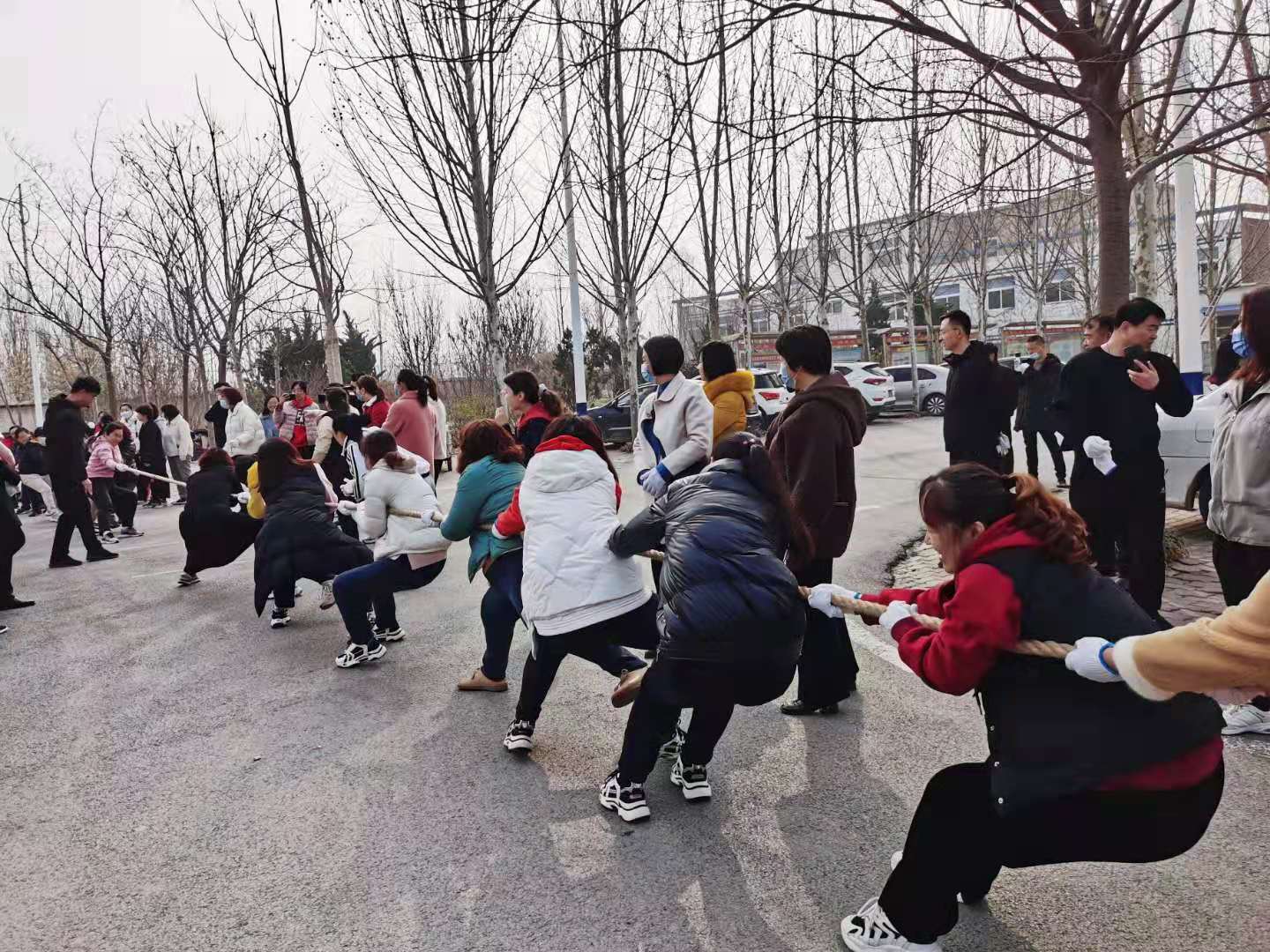 微信图片_20210310150303