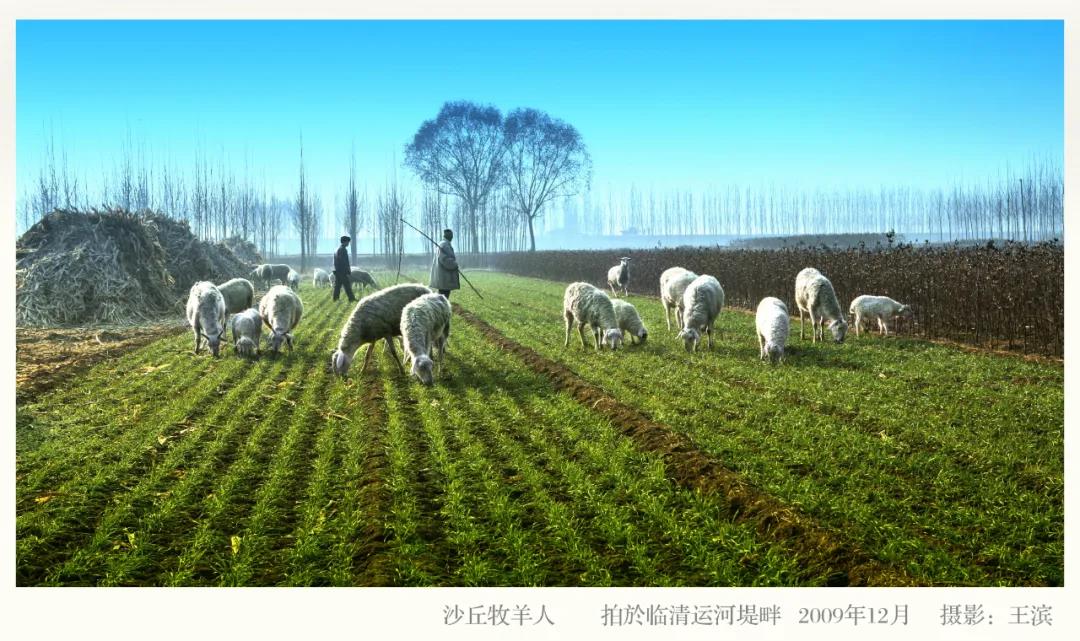 微信图片_20211128100349