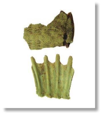 pagenumber_ebook=291,pagenumber_book=278