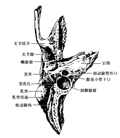 pagenumber_ebook=66,pagenumber_book=57