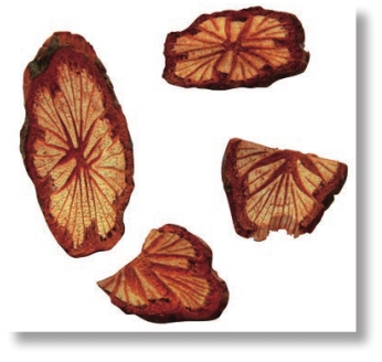 pagenumber_ebook=63,pagenumber_book=50