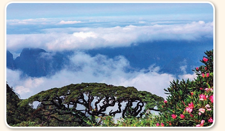 pagenumber_ebook=115,pagenumber_book=105