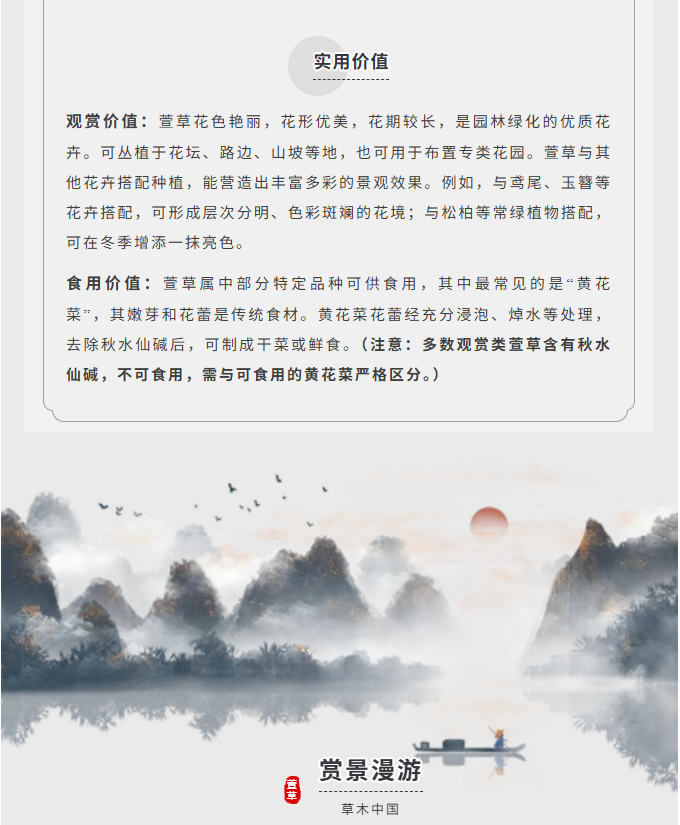 image.png?v=1766280841991