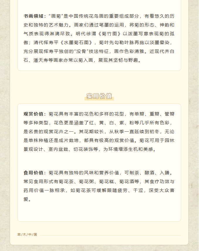 image.png?v=1762100057603