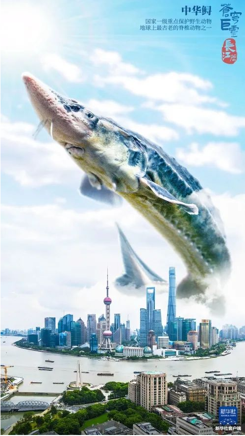 image image.png?v=1763569565657