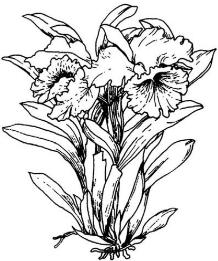 pagenumber_ebook=290,pagenumber_book=290