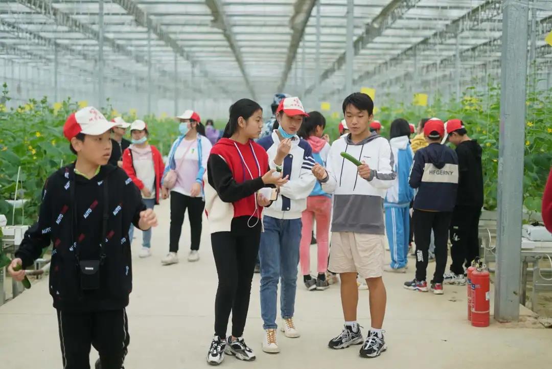 微信图片_20201022220506