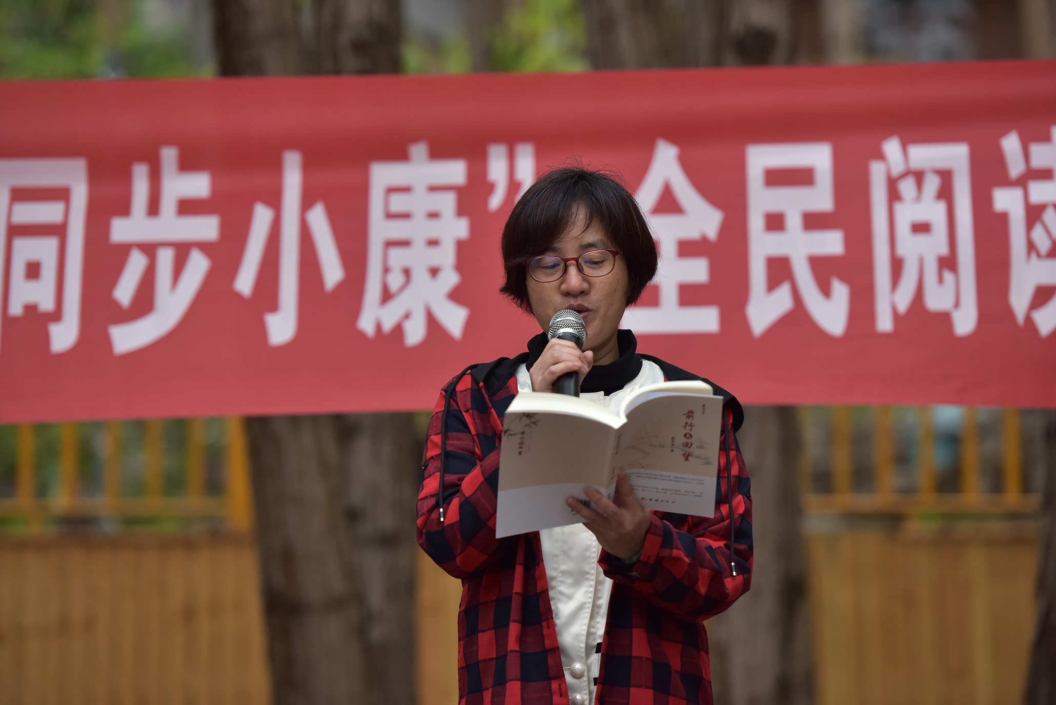 DSC_4653 DSC_4653.jpg?v=1762711322145