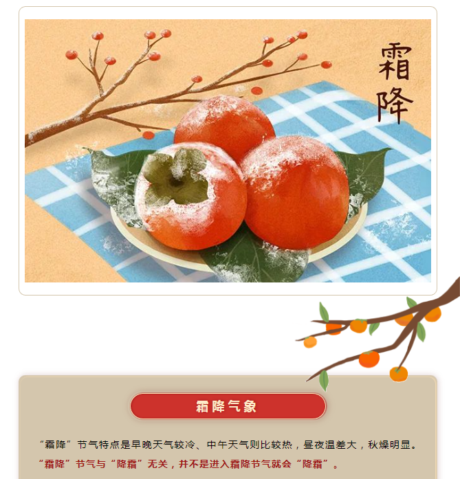image.png?v=1750226782663