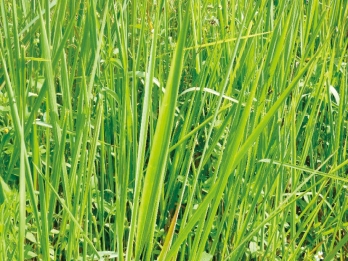 pagenumber_ebook=222,pagenumber_book=206